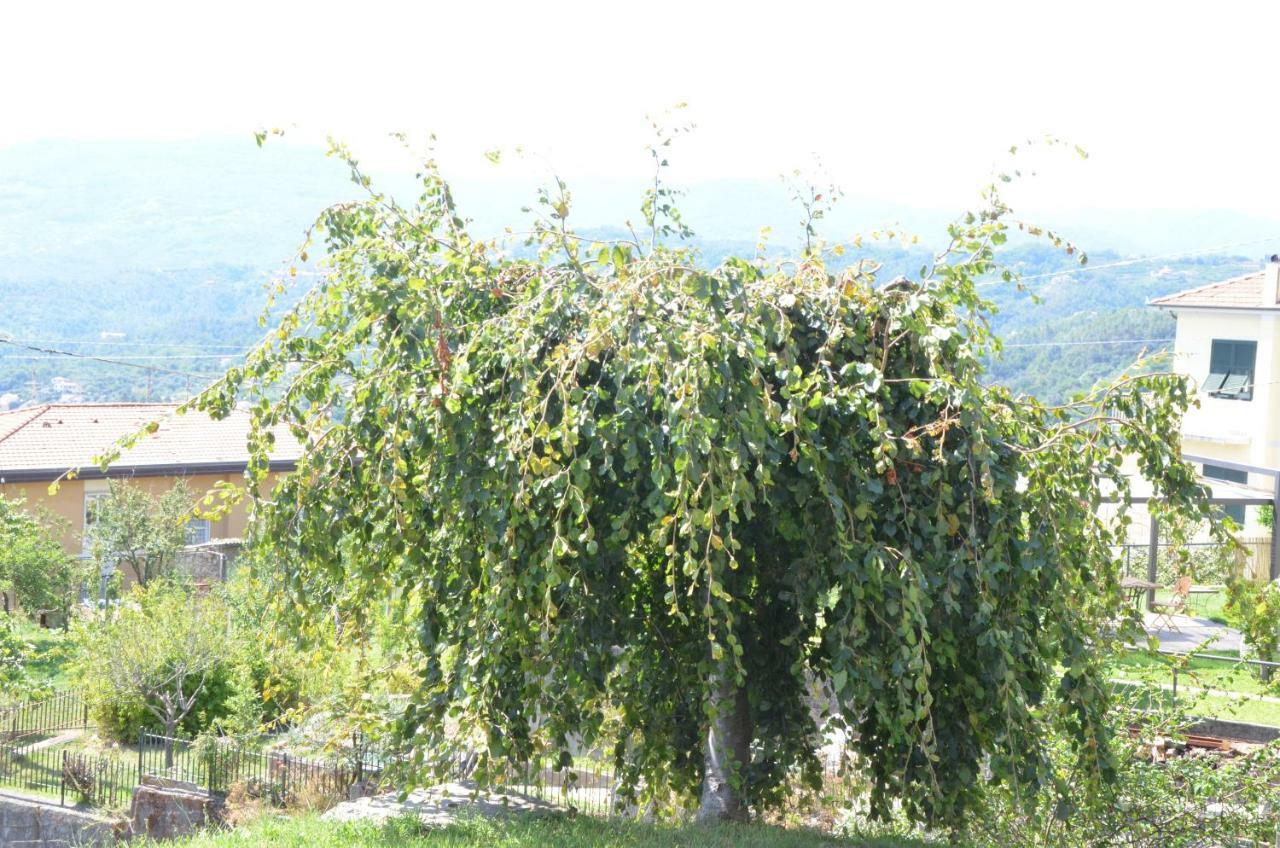 Appartement La Casa Con Vista Di Emma à Vezzano Ligure Extérieur photo
